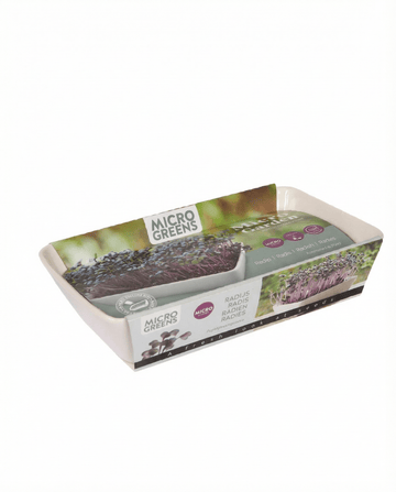 Daikon Radish Microgreens (Raphanus sativus) – kweekkit zaden van SeedsChoice