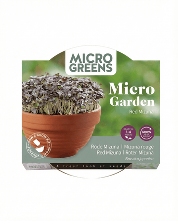 Red Mizuna Microgreens Terracotta Vegetables zaden – kweekkit van SeedsChoice