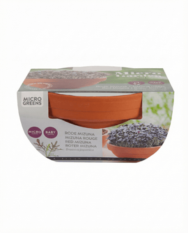 Rode mizuna-zaden Brassica Japonica microgroenten terracottaset groenten