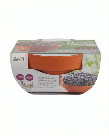 Red Mizuna Microgreens Terracotta Vegetables zaden (Brassica japonica) – kweekkit