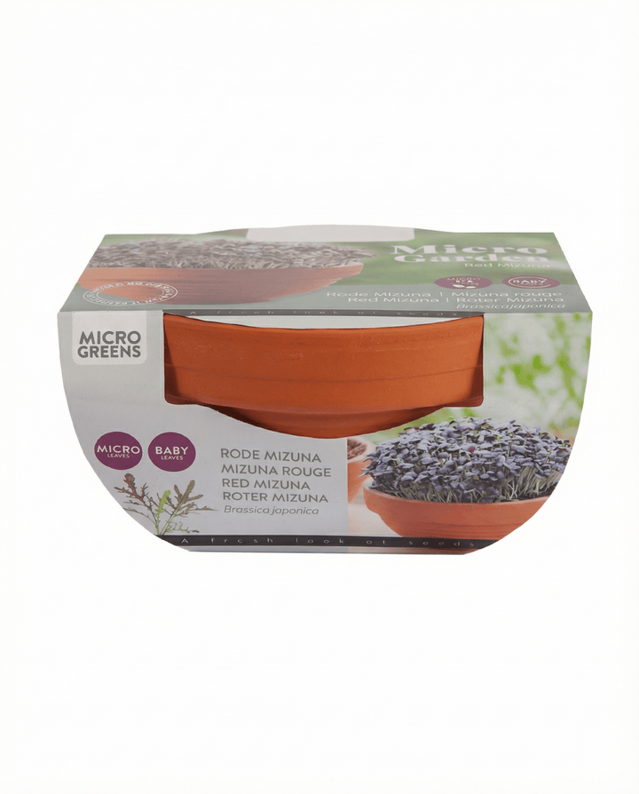 Red Mizuna Microgreens Terracotta Vegetables zaden (Brassica japonica) – kweekkit