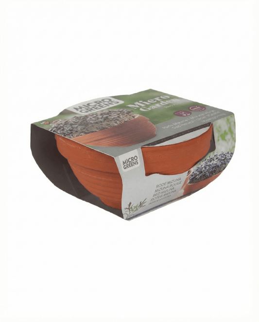 Red Mizuna Microgreens Terracotta Vegetables (Brassica japonica) – kweekkit zaden van SeedsChoice