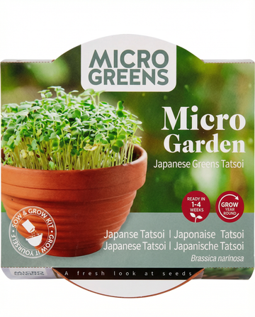 Brassica narinosa – Tatsoi Microgreens Terracotta Dish gekweekt uit zaad