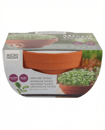 Tatsoi Microgreens Terracotta Dish (Brassica narinosa) – kweekset zaden van SeedsChoice