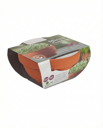 Tatsoi Microgreens Terracotta Dish zaden (Brassica narinosa) – kweekset