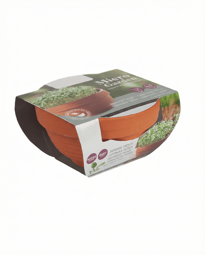Tatsoi Microgreens Terracotta Dish zaden (Brassica narinosa) – kweekset