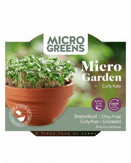 Gekrulde boerenkoolzaden Brassica Oleracea microgroentenset terracottaschaal