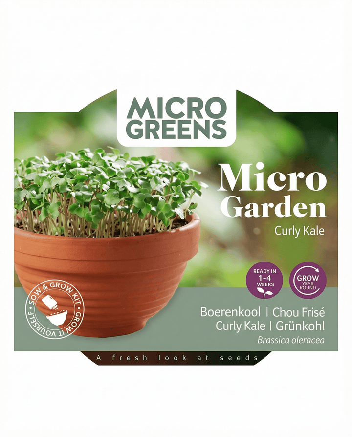Boerenkool Microgreens Terracotta Dish zaden (Brassica oleracea) – kweekset