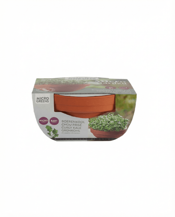 Boerenkool Microgreens Terracotta Dish (Brassica oleracea) – kweekset zaden van SeedsChoice