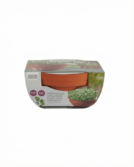 Boerenkool Microgreens Terracotta Dish (Brassica oleracea) – kweekset zaden van SeedsChoice