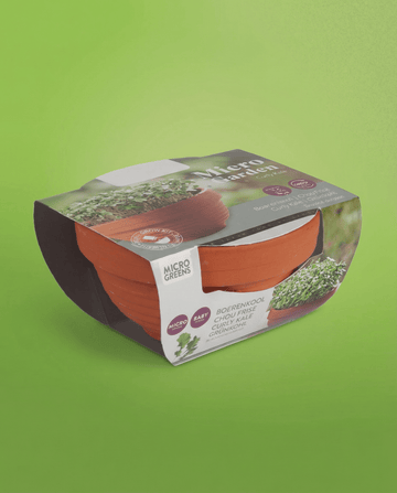 Brassica oleracea – Curly Kale Microgreens Terracotta Dish gekweekt uit zaad
