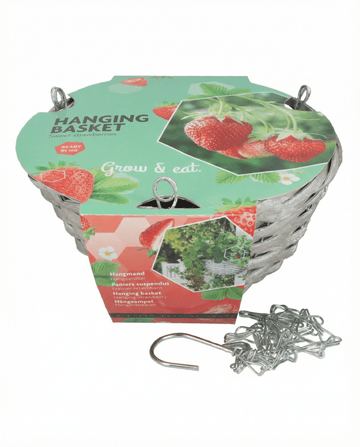 Hangmand Aardbei Temptation (Fragaria × ananassa) – kweekset zaden van SeedsChoice