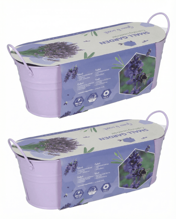 Lavendelzaden (Lavandula angustifolia) – meerjarig kweekpakket