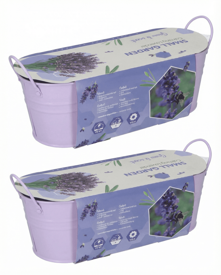 Lavendelzaden (Lavandula angustifolia) – meerjarig kweekpakket