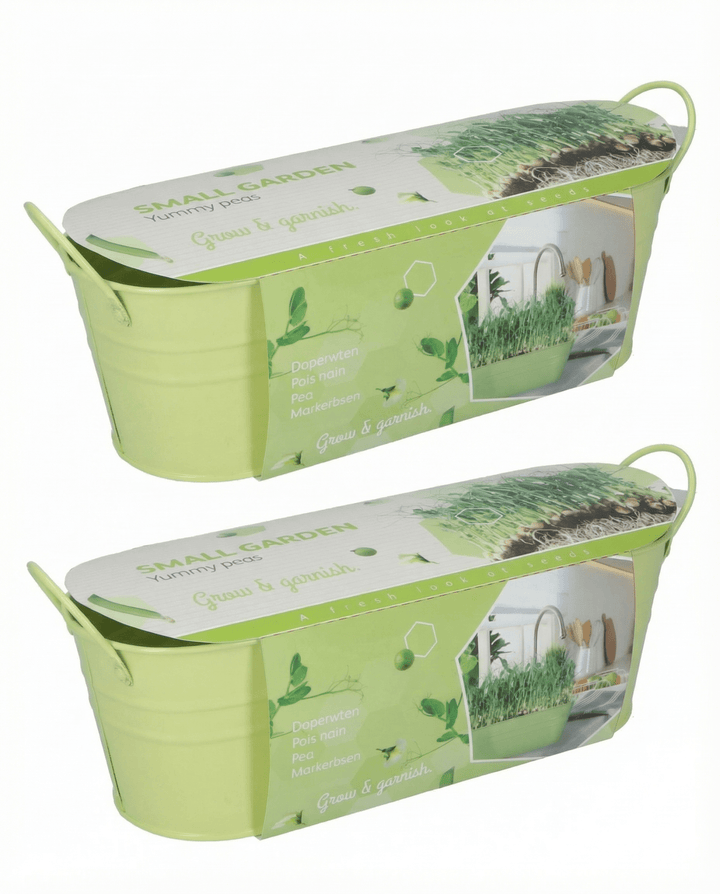 Erwt Stardust Microgreens zaden (Pisum sativum) – microgreens