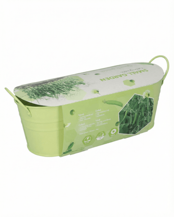 Erwt Stardust Microgreens (Pisum sativum) – microgreens zaden van SeedsChoice