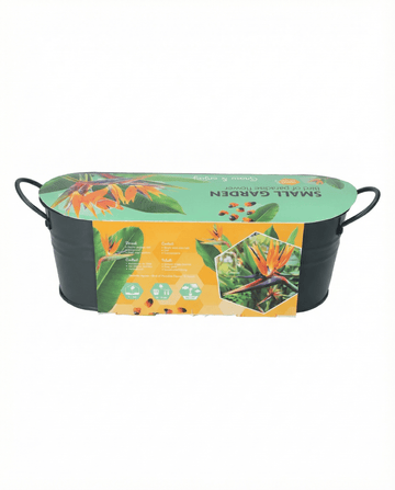 Bird Of Paradise zaden – meerjarige bloem van SeedsChoice