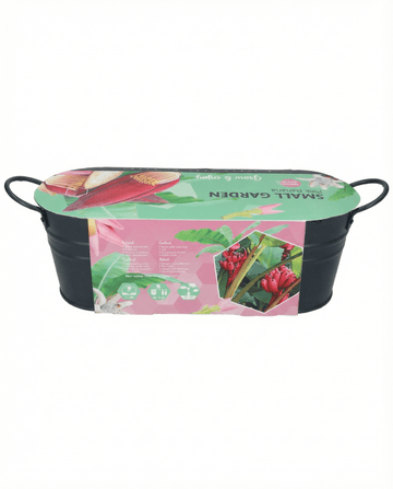 Pink Banana Indoor Pot zaden – kamerplant van SeedsChoice