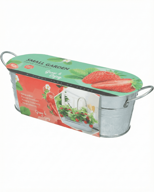 Hangaardbei (Fragaria ananassa) – meerjarige zaden van SeedsChoice