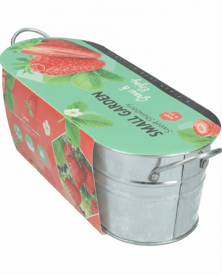 Hangaardbei zaden (Fragaria ananassa) – meerjarig