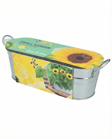 Dwarf Sunflower Low Growing zaden (Helianthus annuus) – bloem