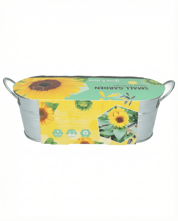 Dwarf Sunflower Low Growing (Helianthus annuus) – bloemenzaden van SeedsChoice