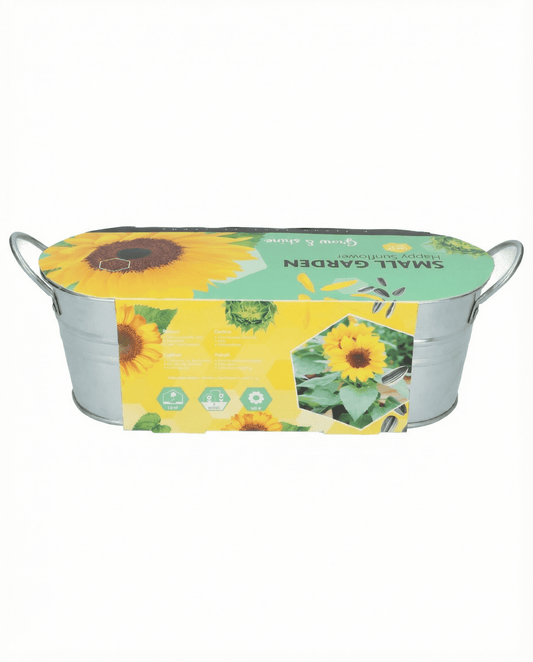 Dwarf Sunflower Low Growing (Helianthus annuus) – bloemenzaden van SeedsChoice