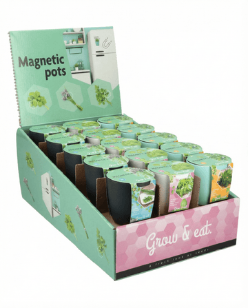 Ocimum basilicum – assortiment basilicum, bieslook en peterselie uit zaad gekweekt