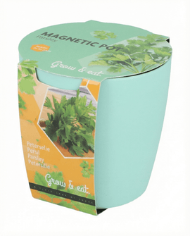 Kruidenassortiment zaden Ocimum Basilicum basilicum bieslook peterselie kweekset