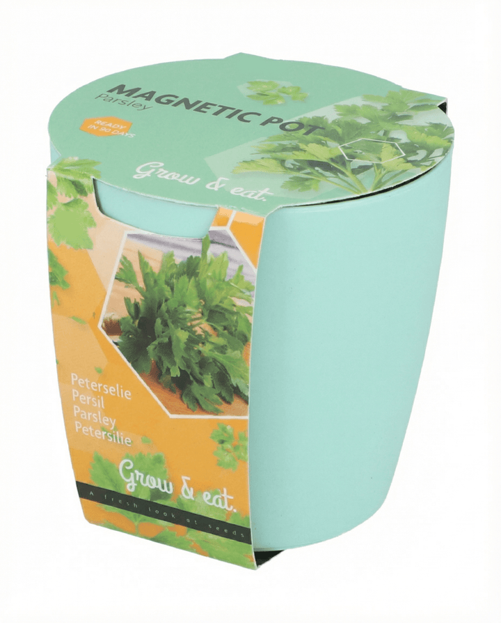 Assortiment basilicum bieslook peterselie zaden (Ocimum basilicum) – kweekset
