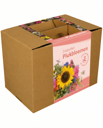 Snijbloemen boeketzaden met touw en schaar – eenjarig groeipakket