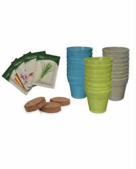 Adventskalender bloemzaden assorti 24 variëteiten kit