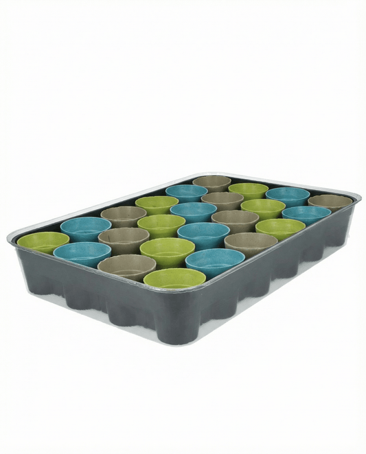 Adventkalender Gemengd 24 Rassen – kweekpakket zaden van SeedsChoice