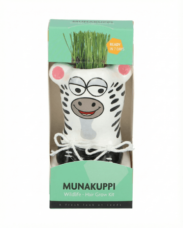 Lolium multiflorum – Zebra gras gekweekt uit zaad
