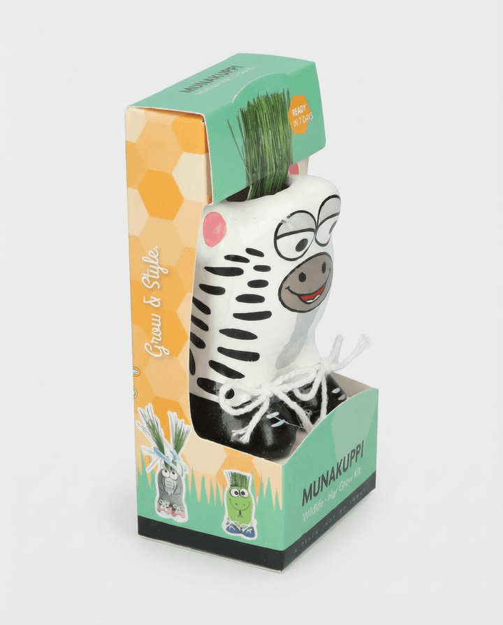 Gras Zebra zaden (Lolium multiflorum) – kweekset