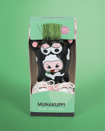 Italian Ryegrass Pasture (Lolium multiflorum) – kweekset zaden van SeedsChoice
