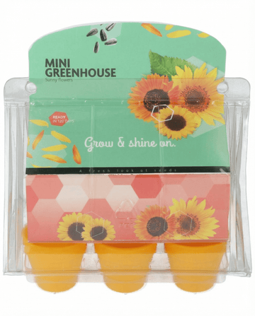 Zonnebloem Mini Greenhouse Pot zaden (Helianthus annuus) – groeikit