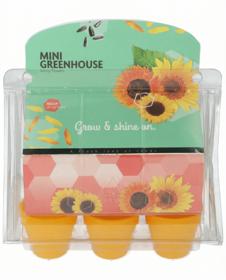 Zonnebloem Mini Greenhouse Pot zaden (Helianthus annuus) – groeikit