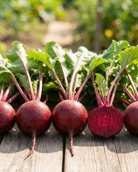 Biet-zaadlint Beta Vulgaris eenjarig 7.5 M lint