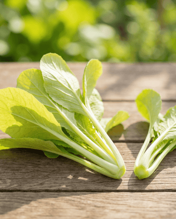 Gele Raapstelen zaden (Brassica pekinensis) – eenjarige groente