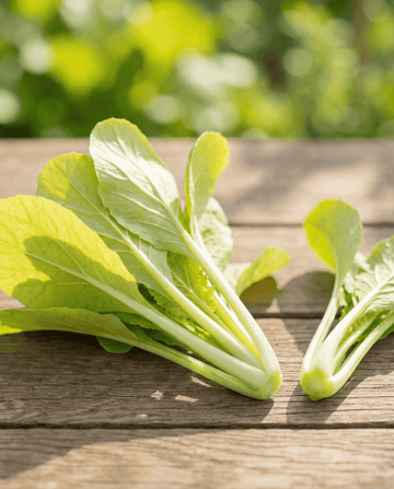Gele Raapstelen (Brassica pekinensis) – eenjarige groentezaden van SeedsChoice