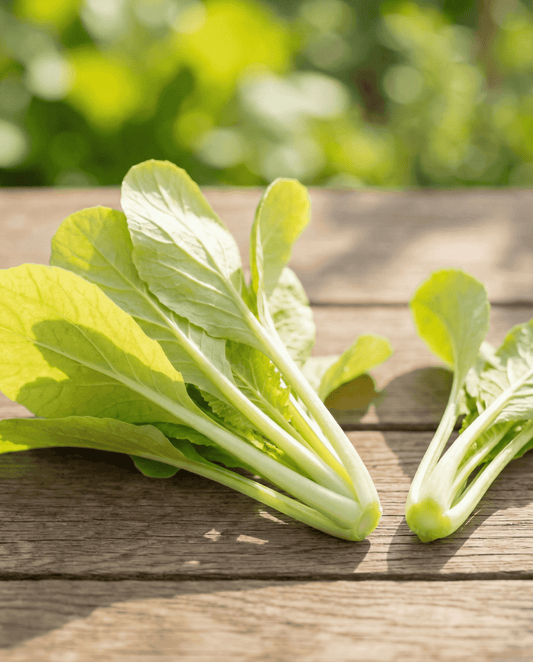 Gele Raapstelen (Brassica pekinensis) – eenjarige groentezaden van SeedsChoice