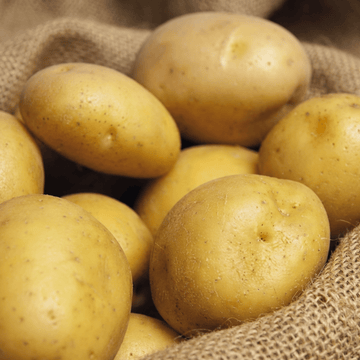 True Potato Soltastic F1 zaden (Solanum tuberosum) – eenjarige groente
