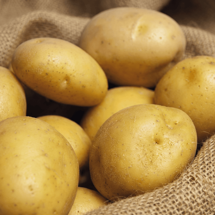 True Potato Soltastic F1 zaden (Solanum tuberosum) – eenjarige groente