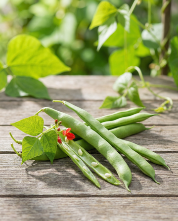 Runner Bean Emergo 100g (Phaseolus coccineus) – eenjarige groentezaden van SeedsChoice