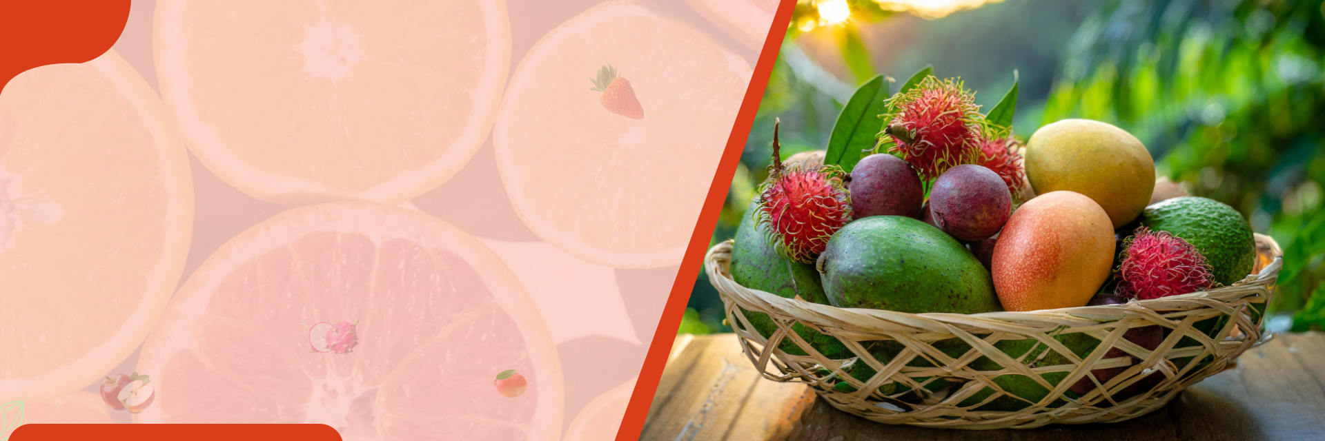Fruits – banner at SeedsChoice