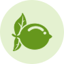 Citrusplanten