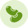 Peulvruchten