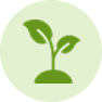 Microgreens & kiemgroenten