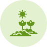 Zaaiperiode
